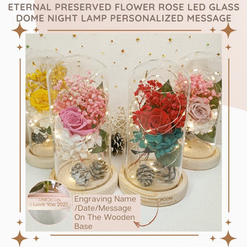 Anniversary & Valentine's Day Gifts For Mom Women, Personalized Rose Lamp, Mother's Day, Birthday Presents For Mom,Girlfriends & Wives Handmade Roses Flowers Galaxy Eternal Enchanted Rose Glass Dome With Message DF - uniqicon